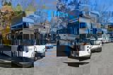Electric busses lined up